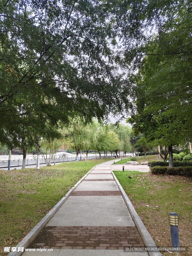 林荫下的静谧步道