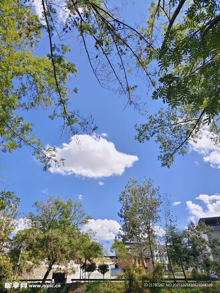 蓝天绿树间的惬意景致