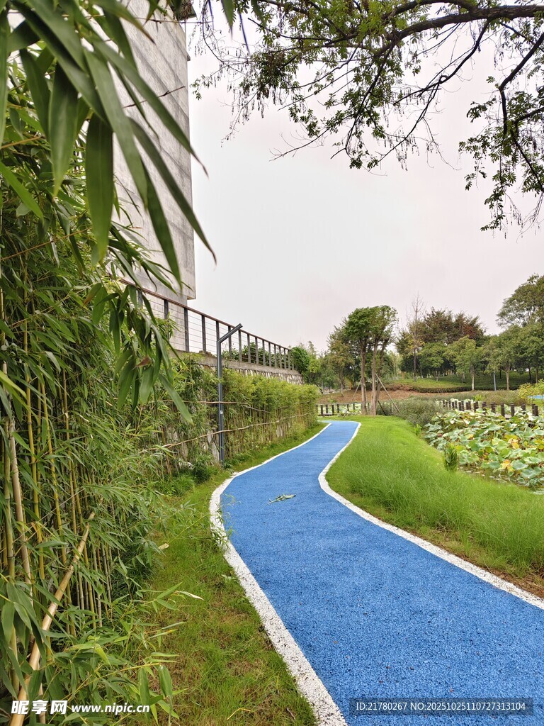 蓝色步道 绿植