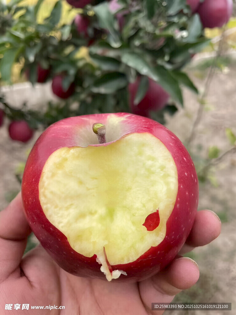 苹果