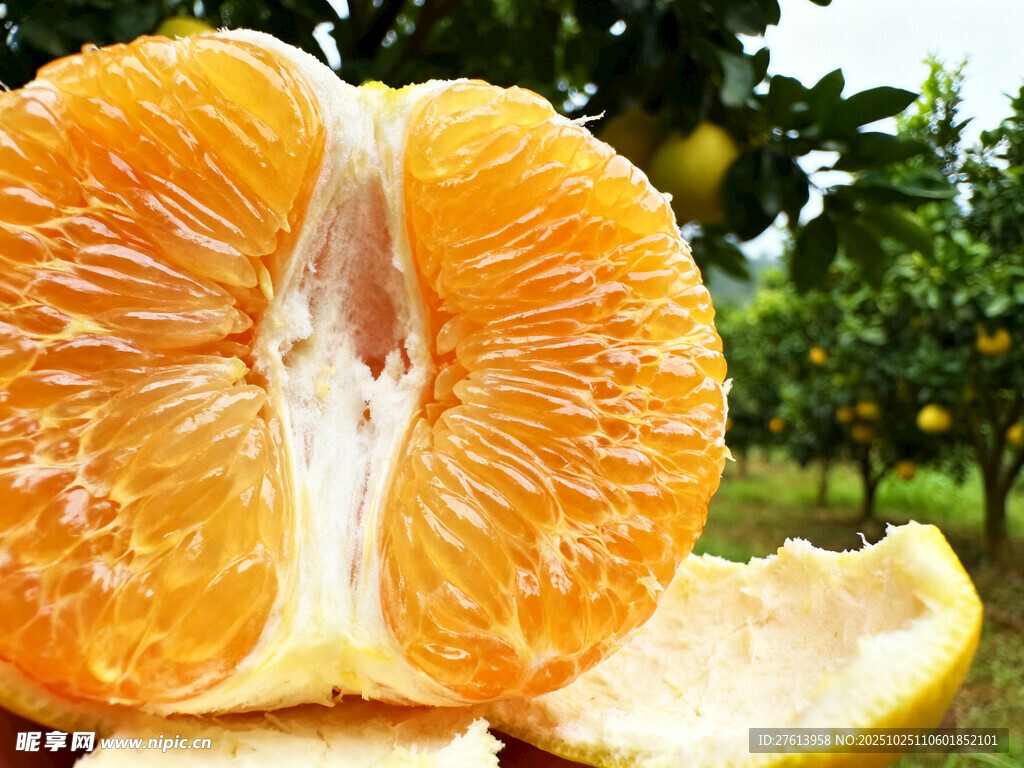 新鲜剥开的多汁柑橘