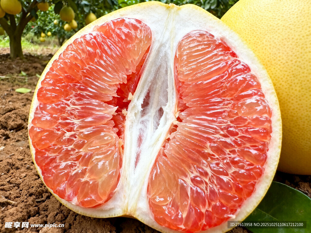 红心柚子切开展示果肉