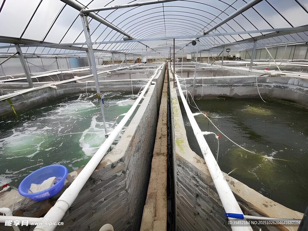 温室水产养殖场