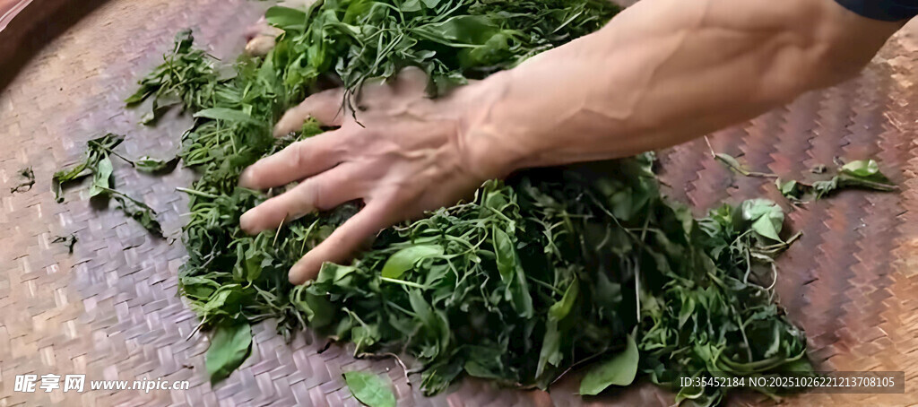 处理茶叶