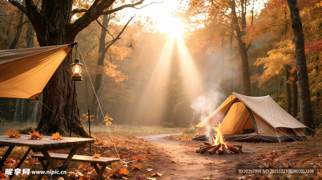 秋日林间露营美好场景