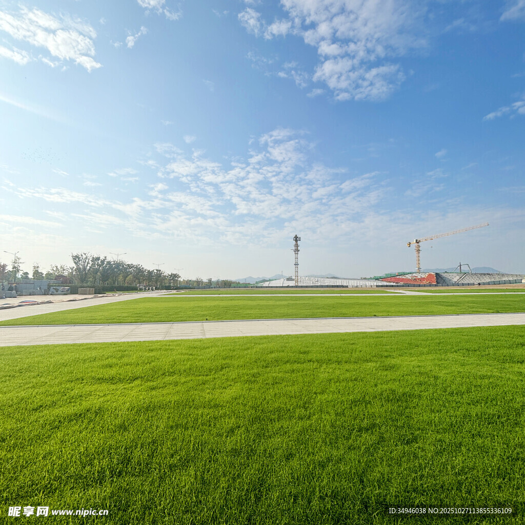 广阔绿草地与远处建筑