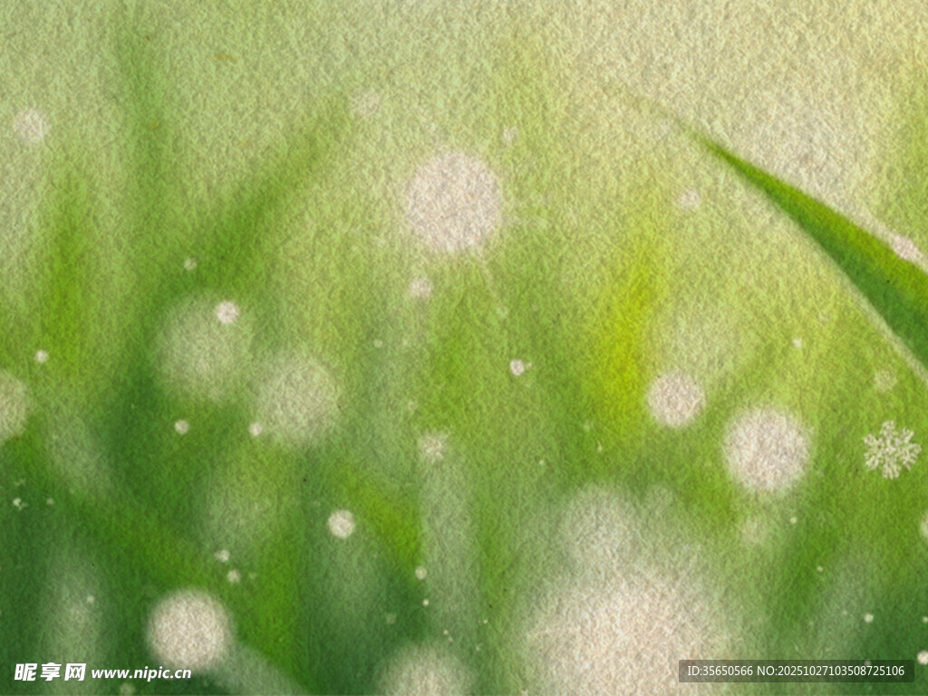 嫩绿草地间的清新