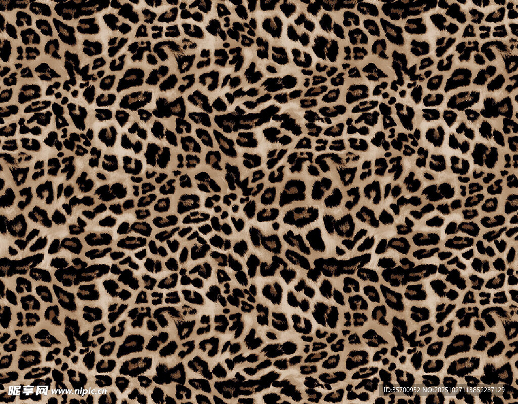 豹纹图案纹理