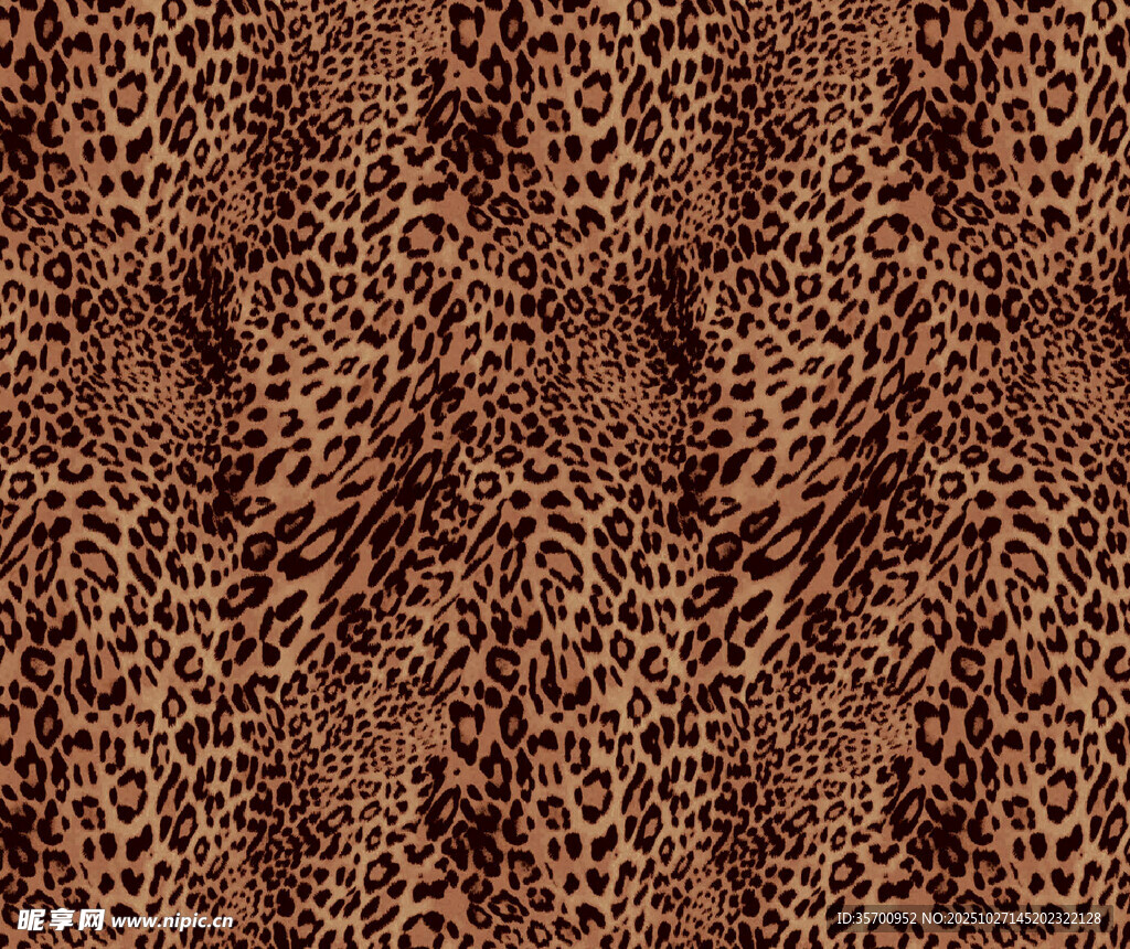 豹纹花纹图案