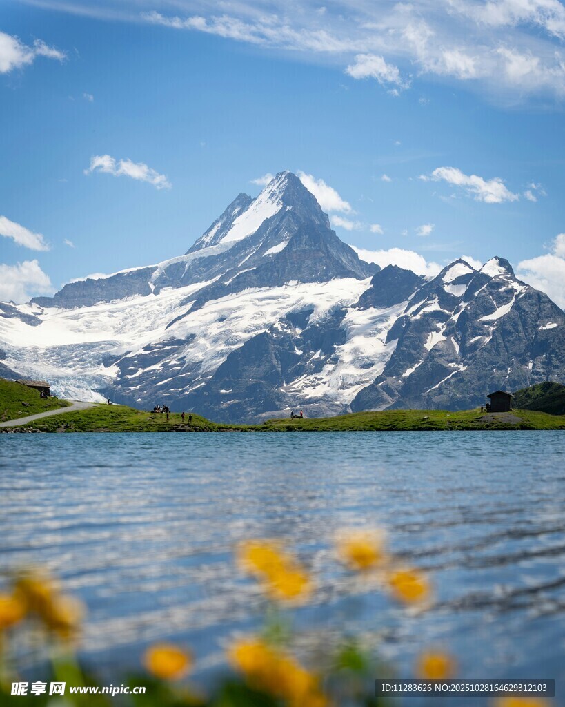 湖畔雪山与烂漫黄花