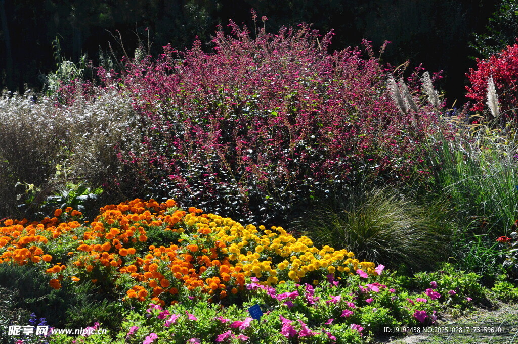 天坛花境风景 