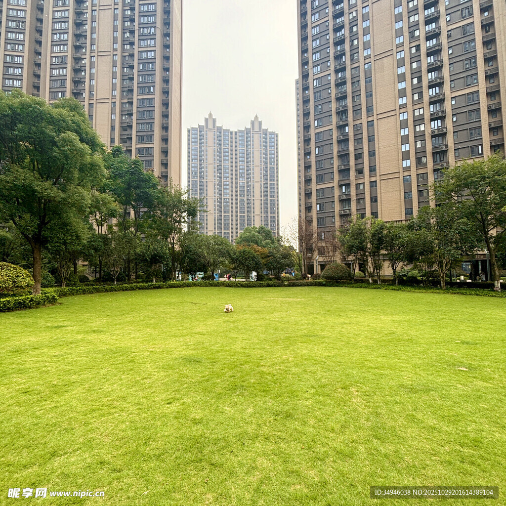 城市中的绿地与高楼景观