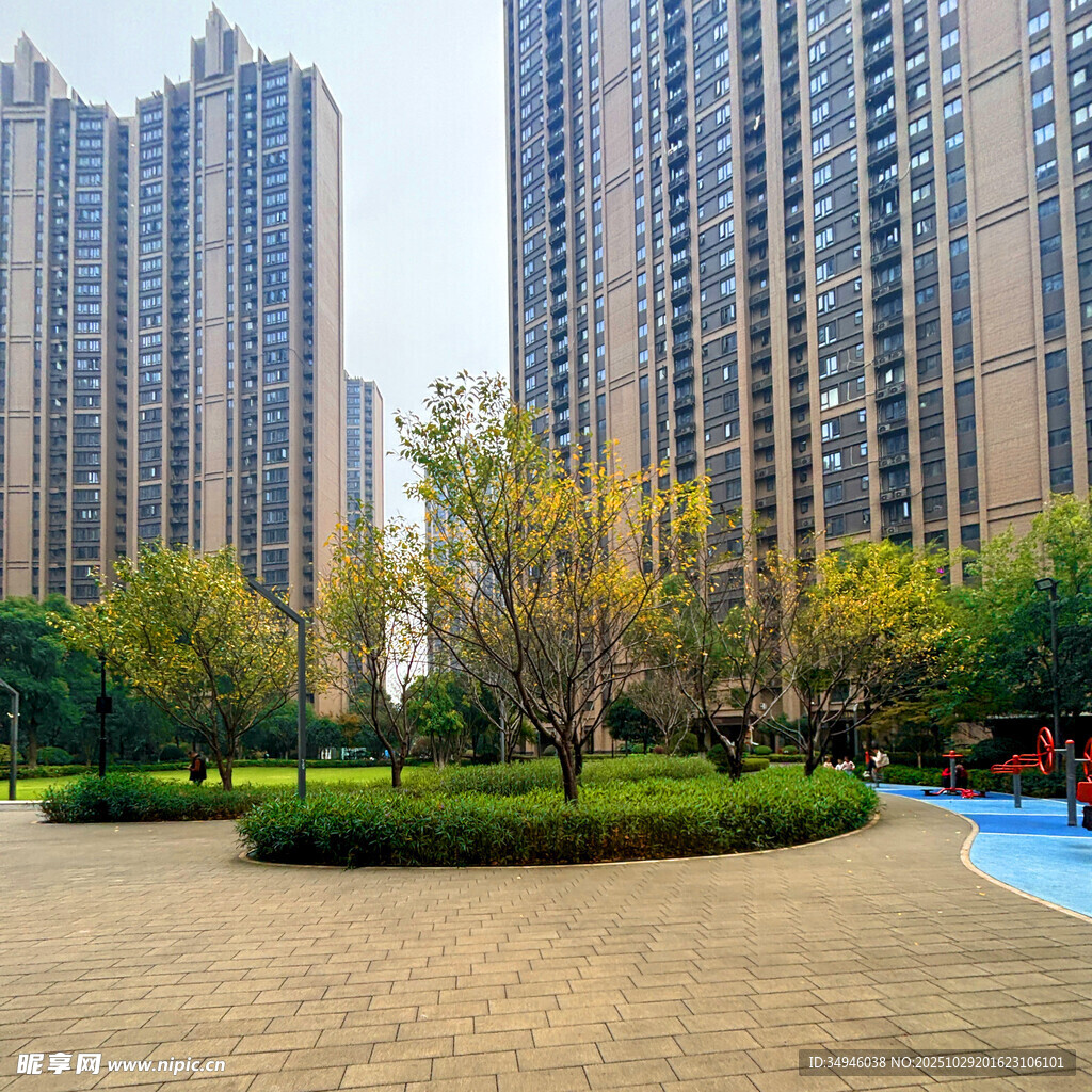 城市小区内的绿化景观