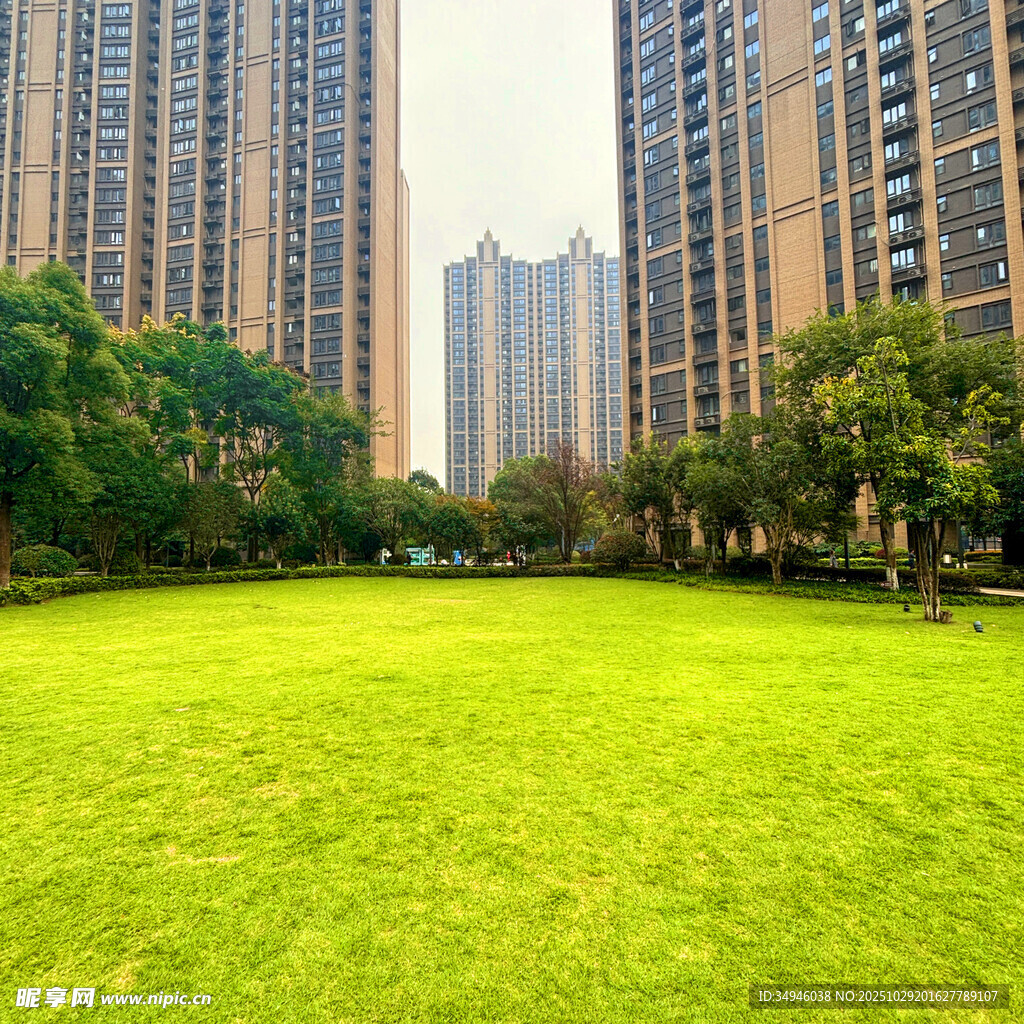 小区内的大片绿地景观