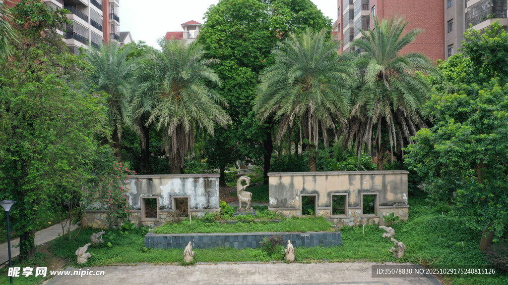 庭院绿植环绕的静谧空间
