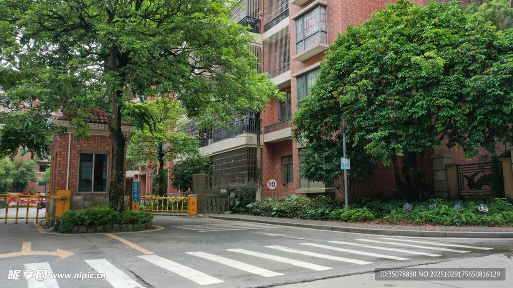 小区内的宁静道路景观