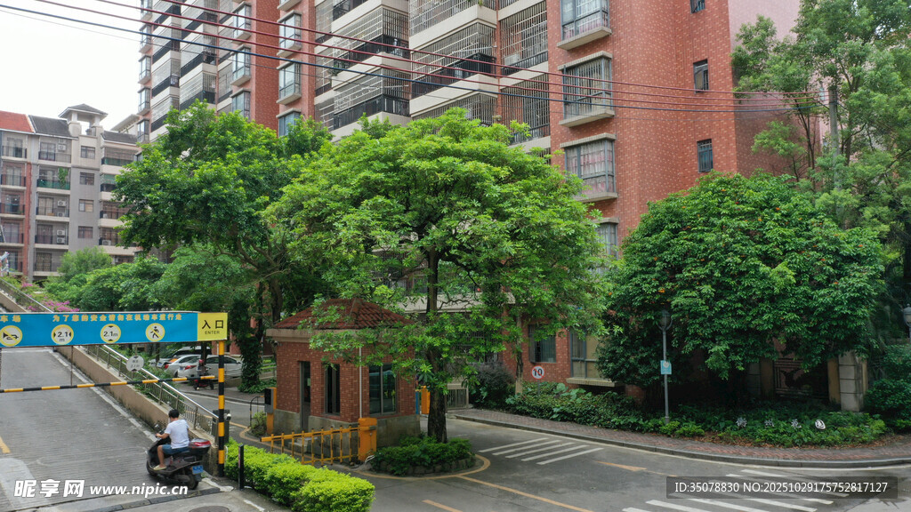 小区内绿树环绕的道路