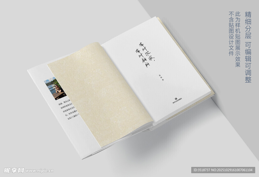 书籍展示样机效果图