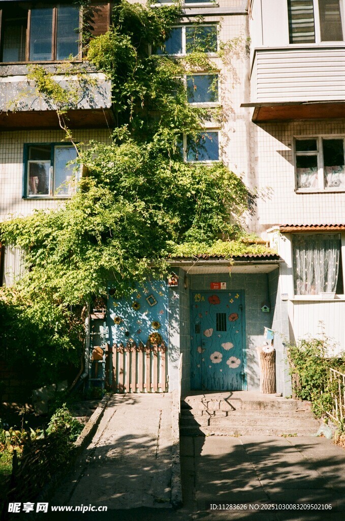 老旧居民楼前的葱郁绿植