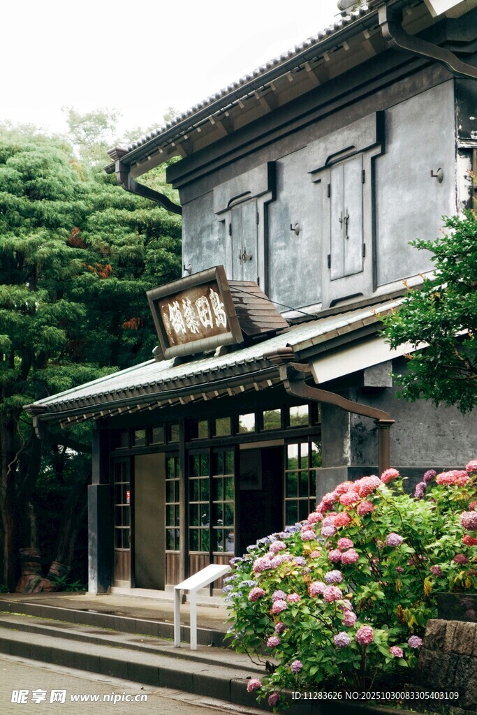 日式古朴建筑前的花卉景观