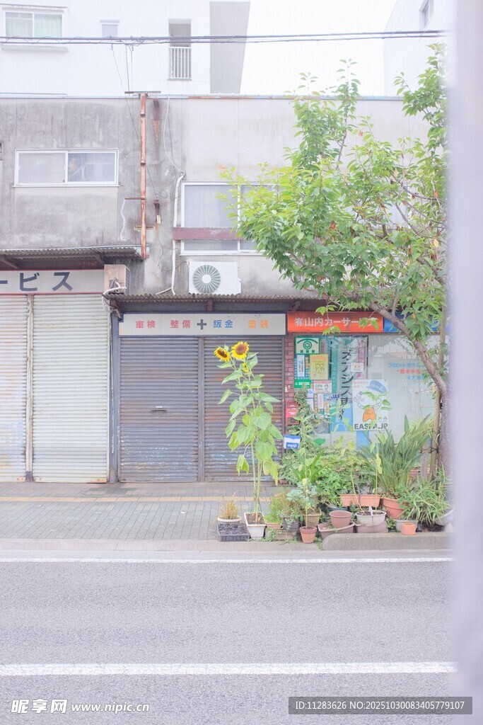 街边小店旁的绿植景观