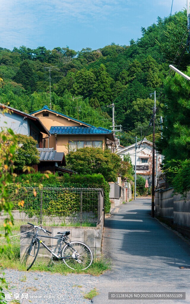 宁静乡村小道与民居