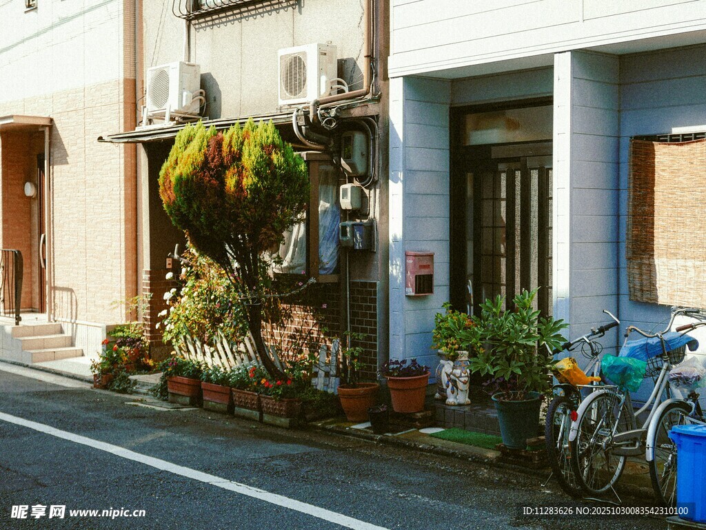日式街道边的宁静民居