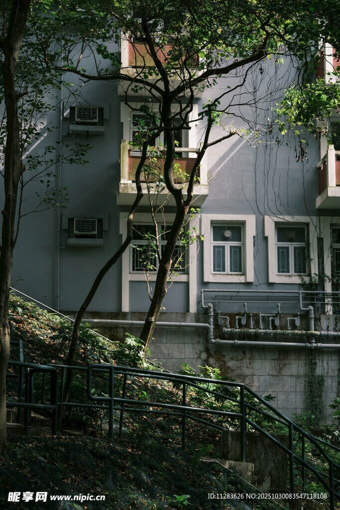 林间灰楼