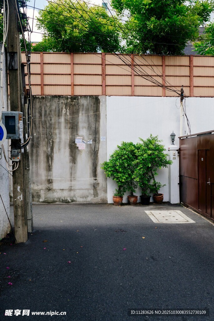 幽静小院角落景致