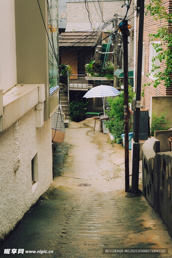雨后静谧小巷一角