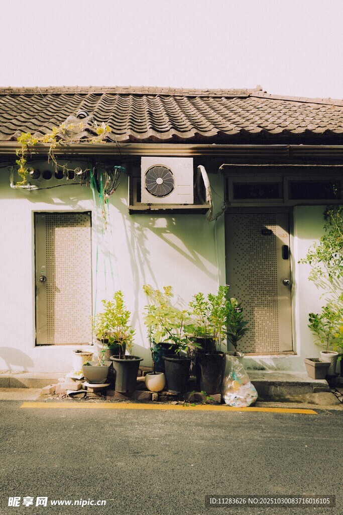 老旧房屋外的绿植与空调