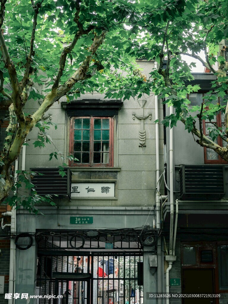 古朴老宅隐于绿树之下
