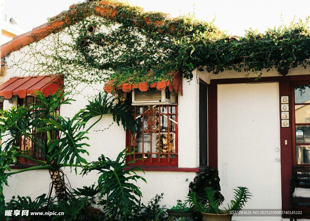 绿植环绕的温馨小屋