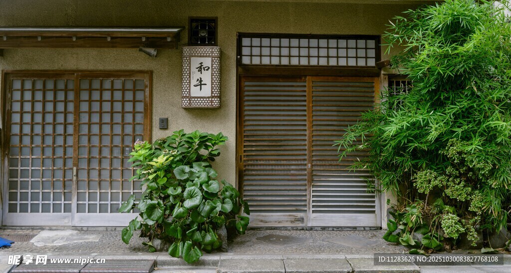 日式庭院门前绿植景致