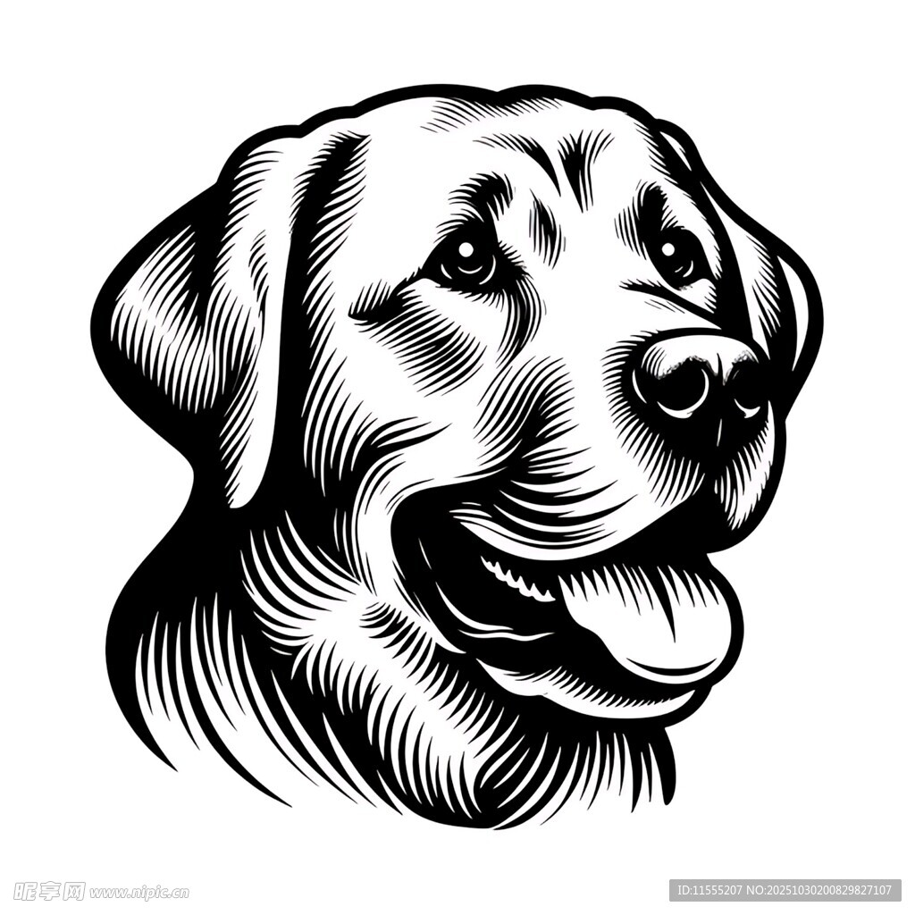 拉布拉多犬头部黑白插画
