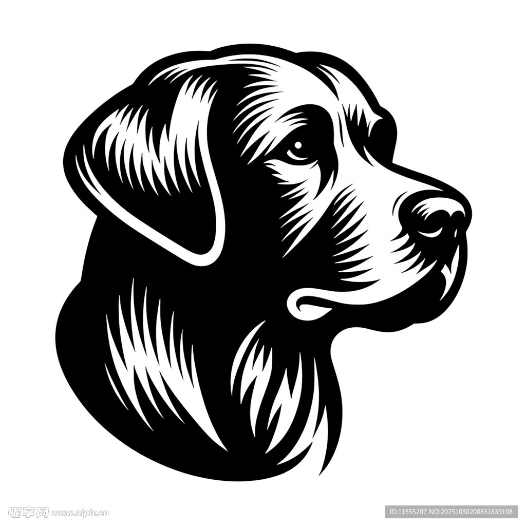 拉布拉多犬头部黑白插画