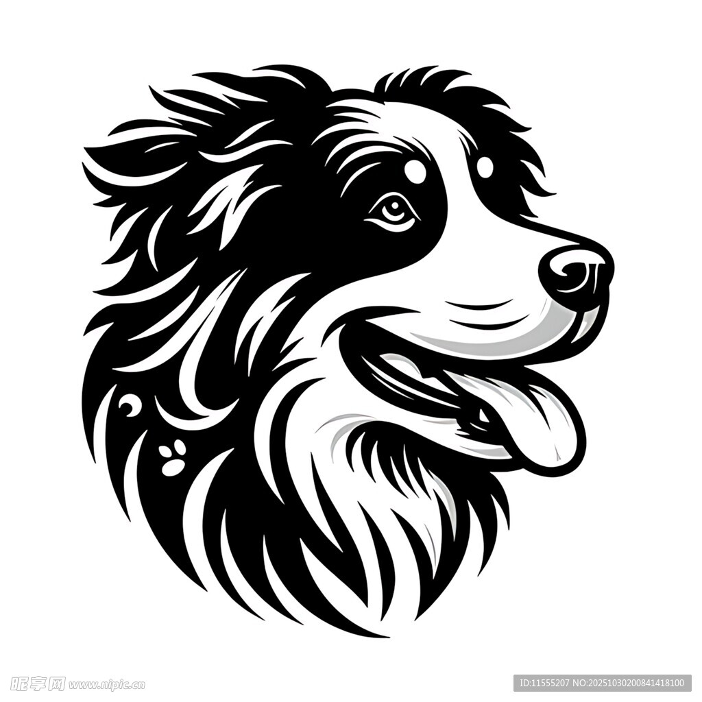 黑白边牧犬头部图案