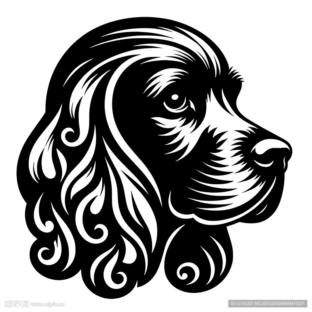 卷毛猎犬头部黑白插画