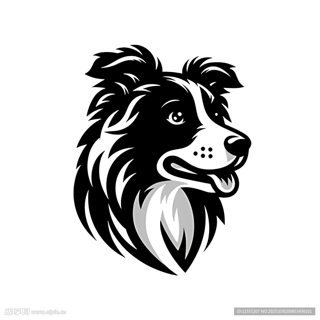 黑白边牧头像设计