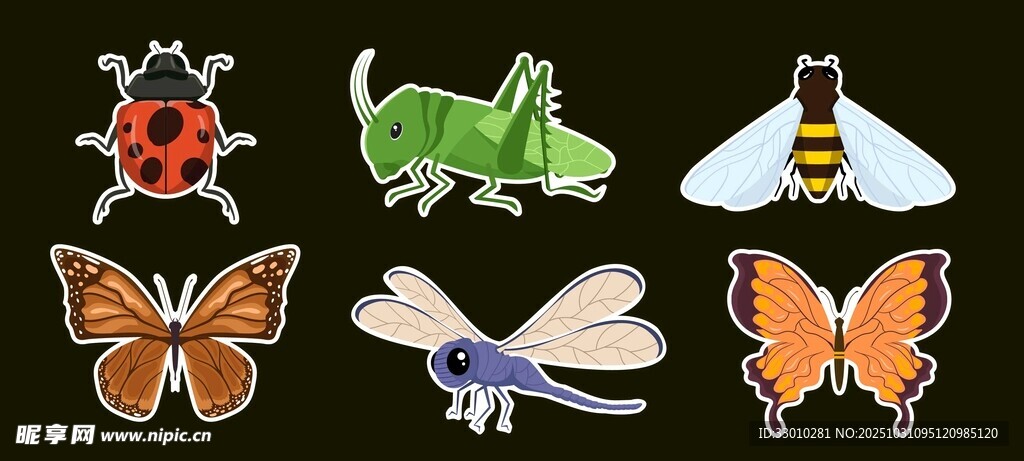 多彩昆虫标本展示