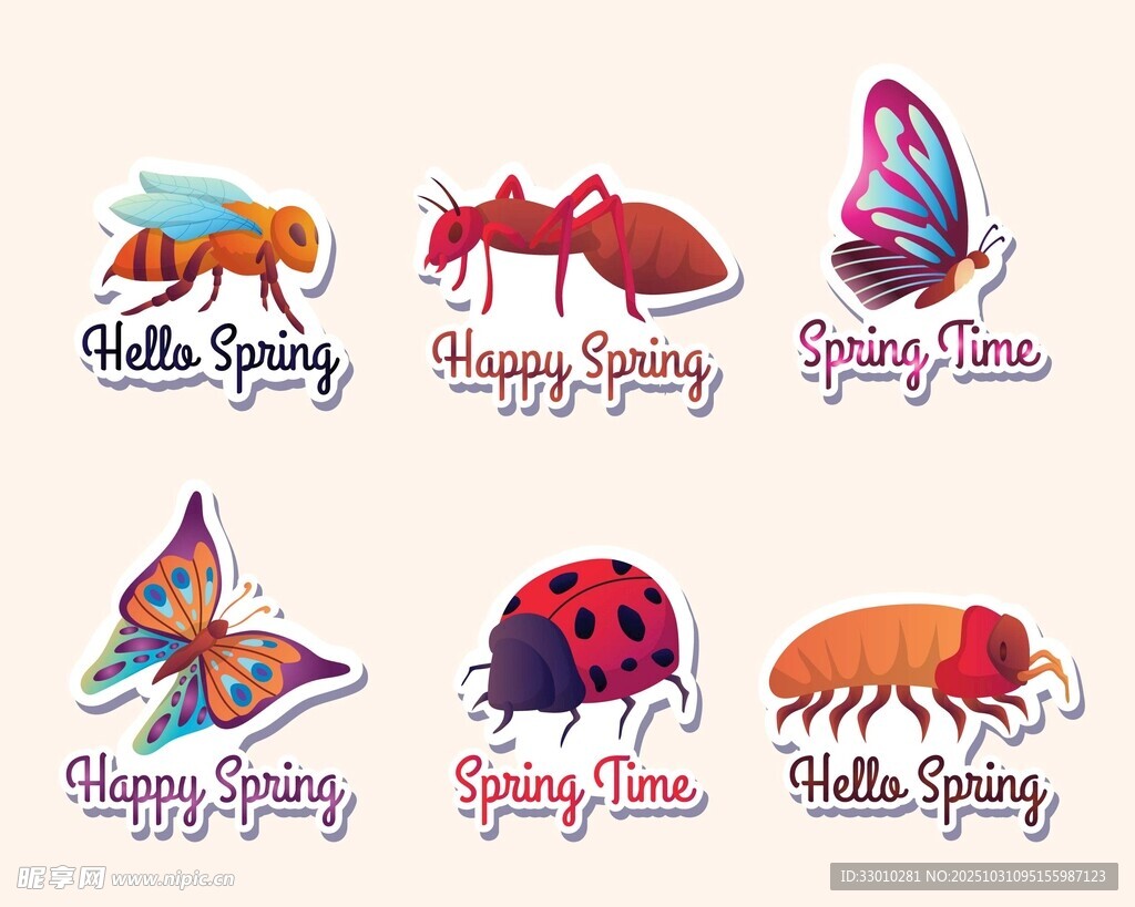 多彩昆虫插画集合