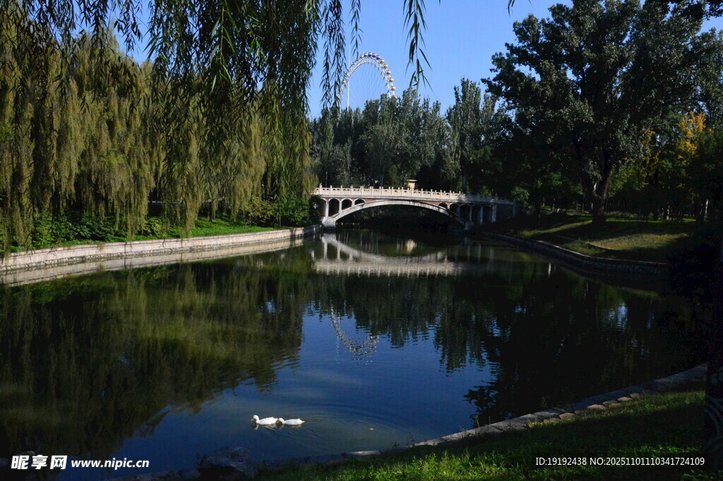 公园风景  