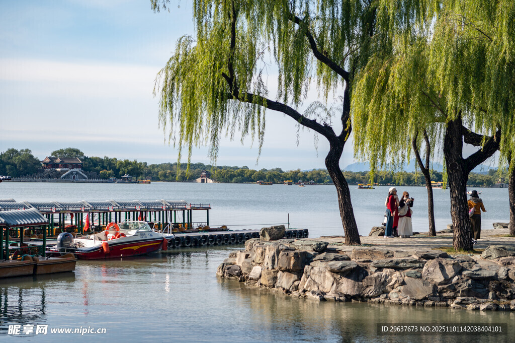 颐和园湖畔垂柳景 游人赏风光