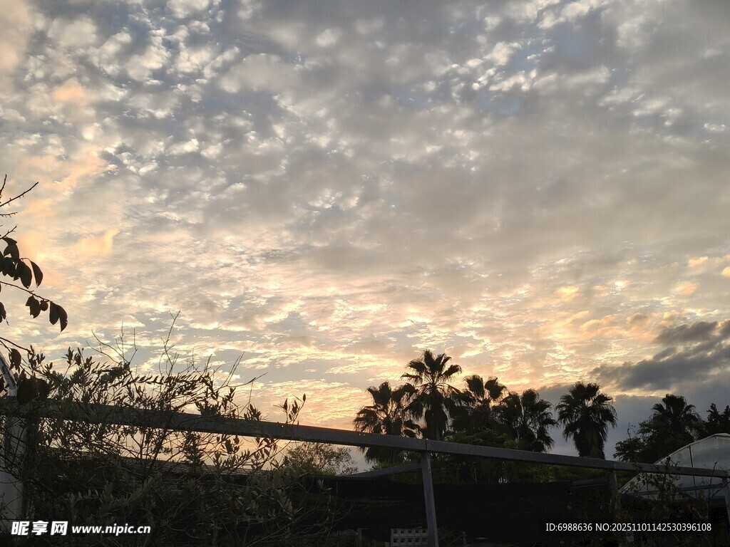 黄昏时分的天空与树影