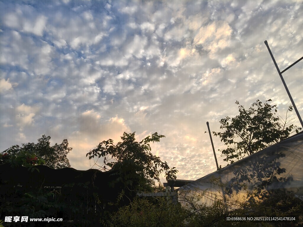 黄昏时分的天空与树木