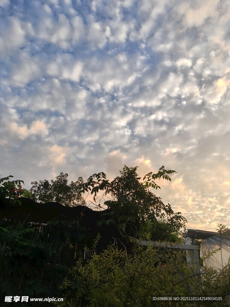 夕阳下的树林与天空美景