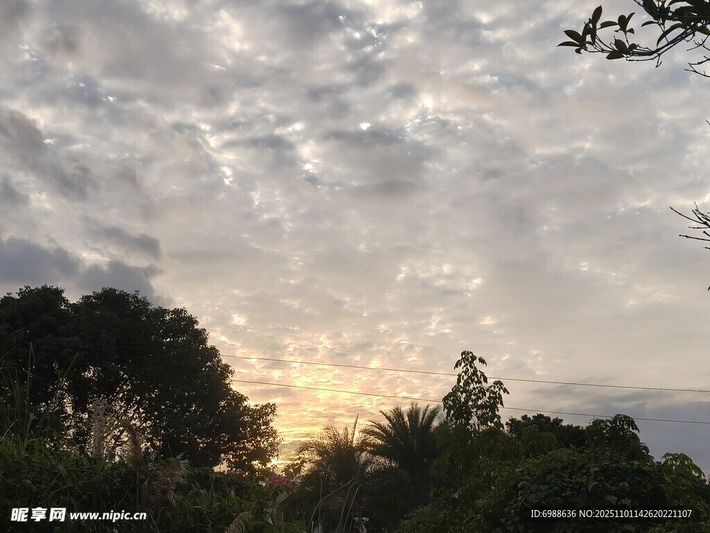 黄昏时分的树林与天空