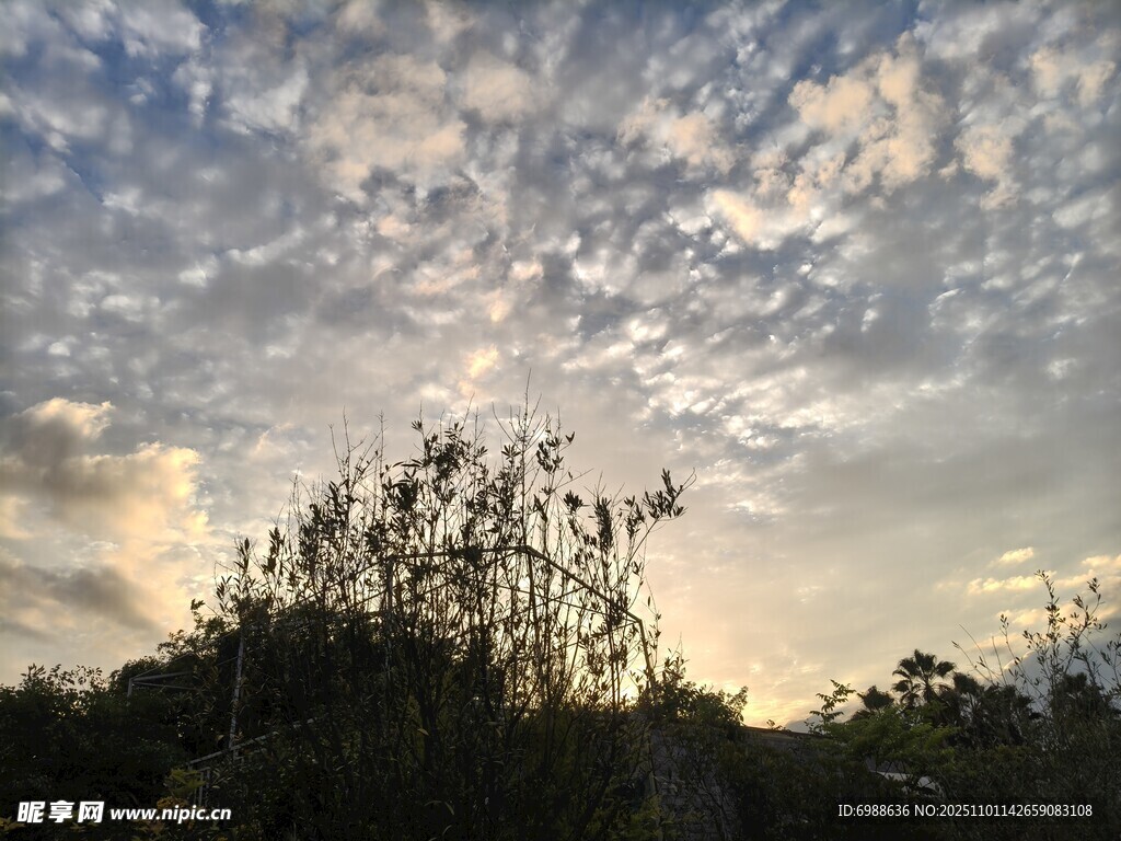 夕阳下的树林与天空景色