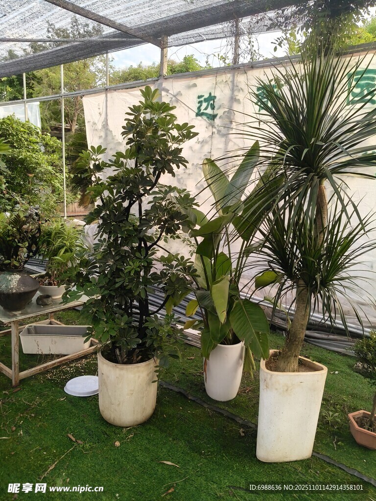 户外绿植盆栽景观展示