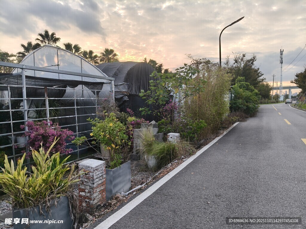 路边绿植景观自然清新